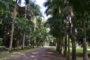 Mauricijus