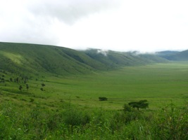 Ngorongoro1