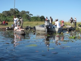 Okavango_delta_1