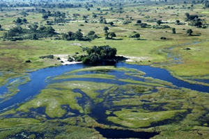 Okavango_delta_4