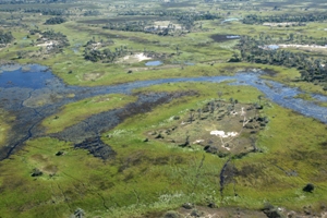 Okavango_delta_5